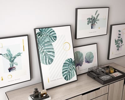 綠植系列 龜背芋 竹芋 八款7