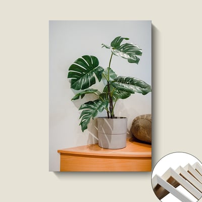 橘色車系大自然休閒風格 6款4