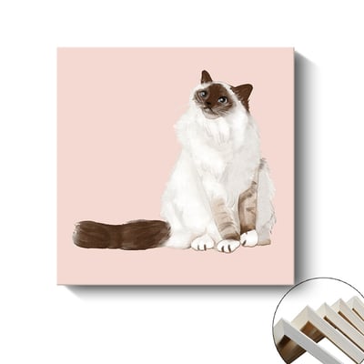 手繪貓咪系列 17種17