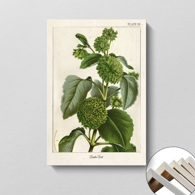 美式復古植物花卉果實 7款11