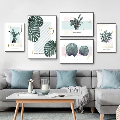 綠植系列 龜背芋 竹芋 八款1