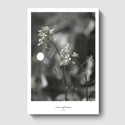 現代簡約森林風景 系列 10款4