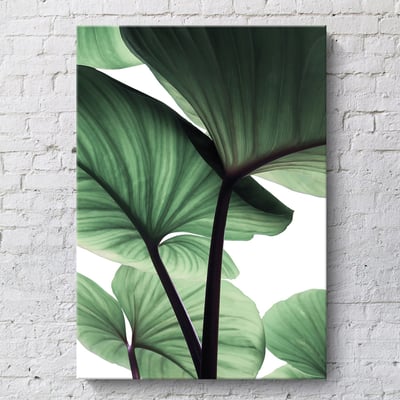 北歐綠色葉子綠植 三款4