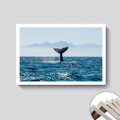 海洋生物系列 4個款式5