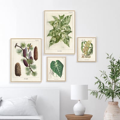 美式復古植物花卉果實 7款3