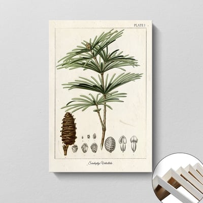 美式復古植物花卉果實 7款12