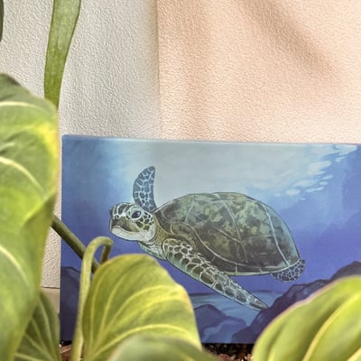 漫德原創-寵物系列｜手繪台灣綠蠵龜 台灣在地繪師4