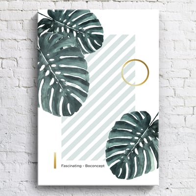 綠植系列 龜背芋 竹芋 八款8