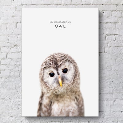 小朋友動物 簡約 系列 12款9