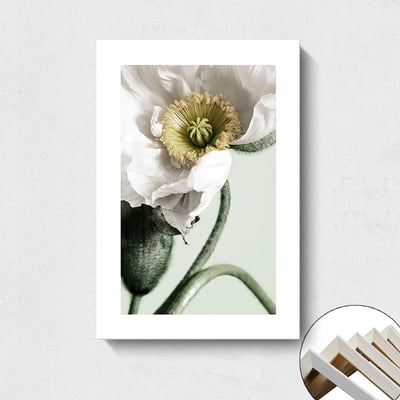 現代簡約北歐 清新植物花卉 5款6