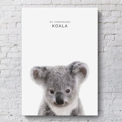 小朋友動物 簡約 系列 12款13