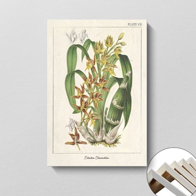 美式復古植物花卉果實 7款14