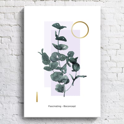 綠植系列 龜背芋 竹芋 八款10