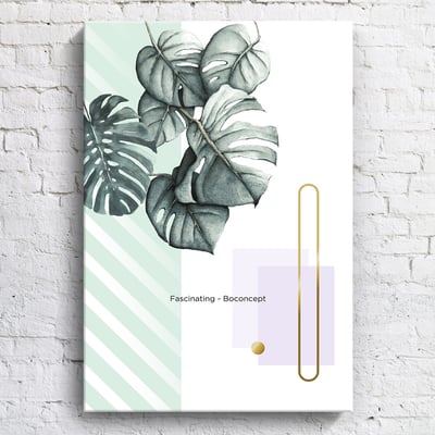 綠植系列 龜背芋 竹芋 八款9