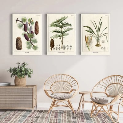 美式復古植物花卉果實 7款8