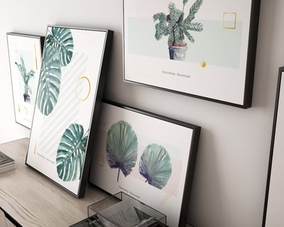 綠植系列 龜背芋 竹芋 八款5