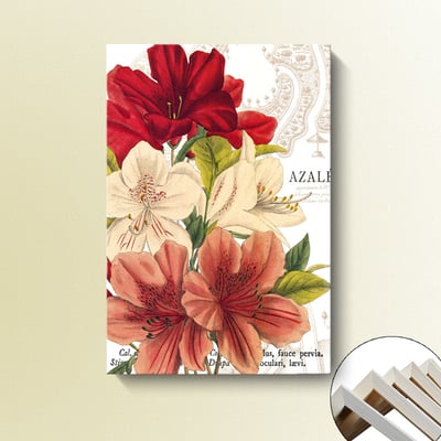 歐式手繪花卉 粉紅色系 五款  花5