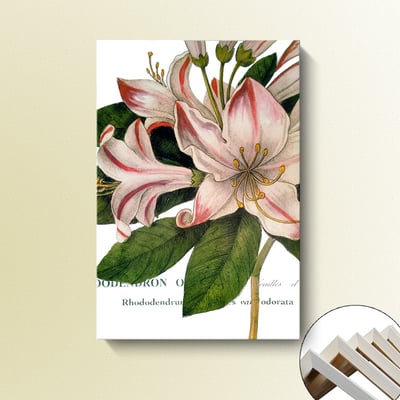 歐式手繪花卉 粉紅色系 五款  花8