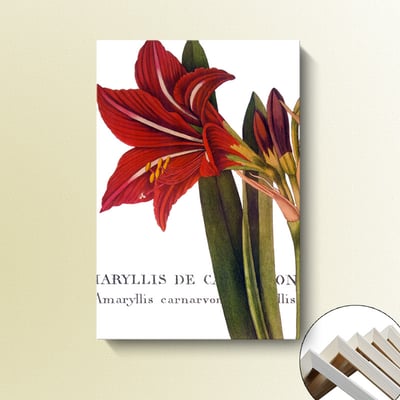 歐式手繪花卉 粉紅色系 五款  花9