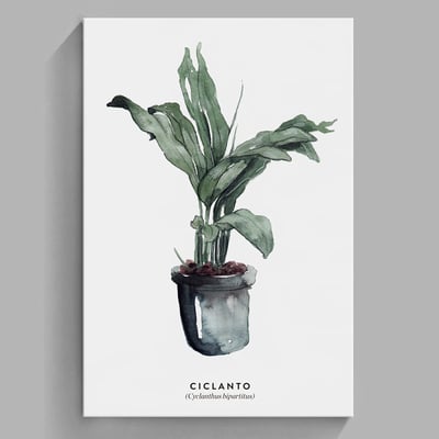 現代簡約北歐清新綠色植物 系列 10款17