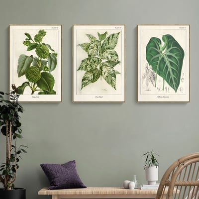 美式復古植物花卉果實 7款7