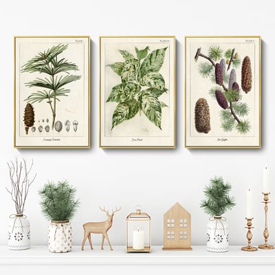 美式復古植物花卉果實 7款5