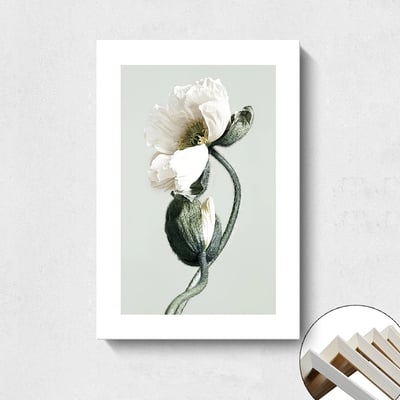 現代簡約北歐 清新植物花卉 5款5