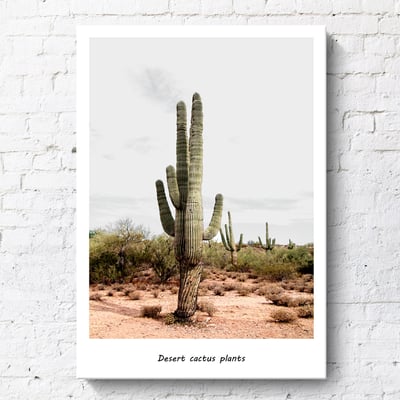 現代美式旅行車子 5款5