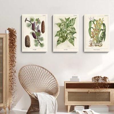 美式復古植物花卉果實 7款6