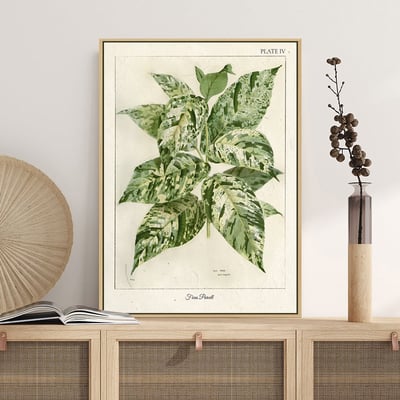 美式復古植物花卉果實 7款4