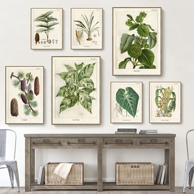 美式復古植物花卉果實 7款1