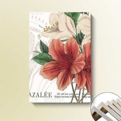 歐式手繪花卉 粉紅色系 五款  花6