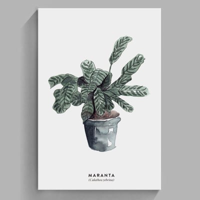 現代簡約北歐清新綠色植物 系列 10款14