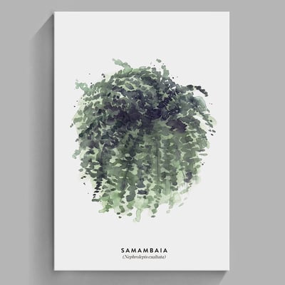 現代簡約北歐清新綠色植物 系列 10款12