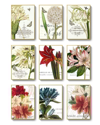 歐式手繪花卉 粉紅色系 五款  花4