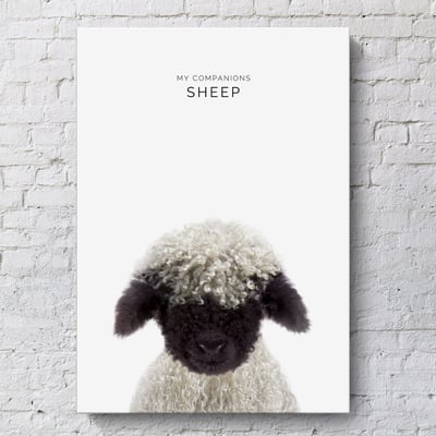 小朋友動物 簡約 系列 12款14