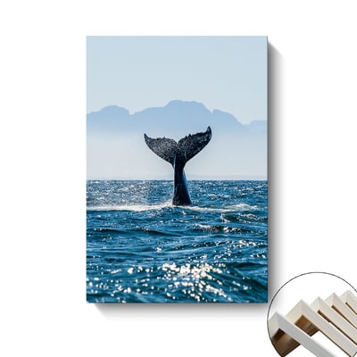 海洋 鯨魚 魚尾 四款3