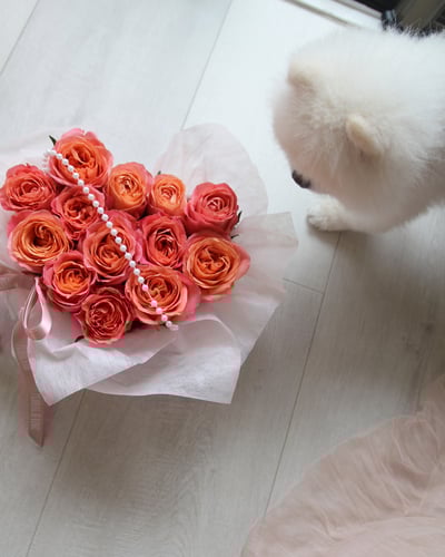 《告白神器系列》Cupid 邱比特玫瑰愛心花盒3