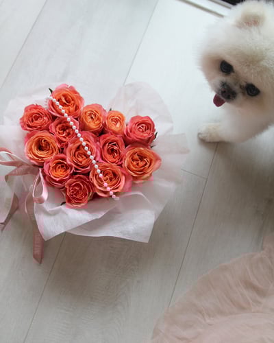 《告白神器系列》Cupid 邱比特玫瑰愛心花盒2