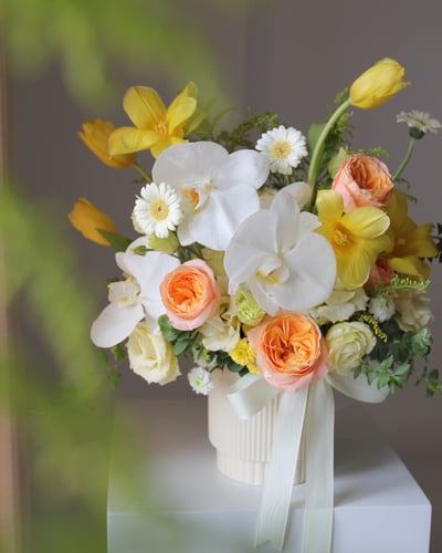 Butterfly Waltz 錦繡蝶舞2