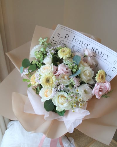 Shimmer 微光晨曦2