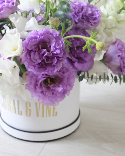 Purple Garden 淡紫花園4