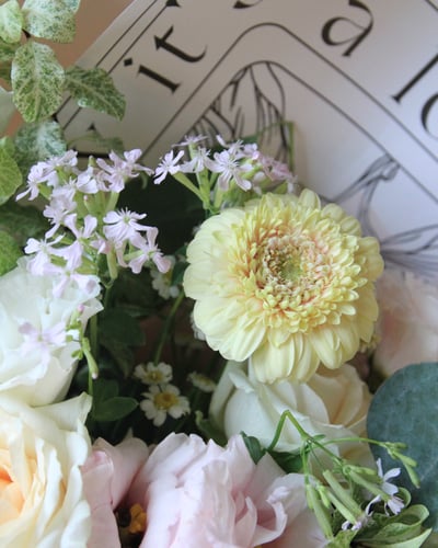 Shimmer 微光晨曦6