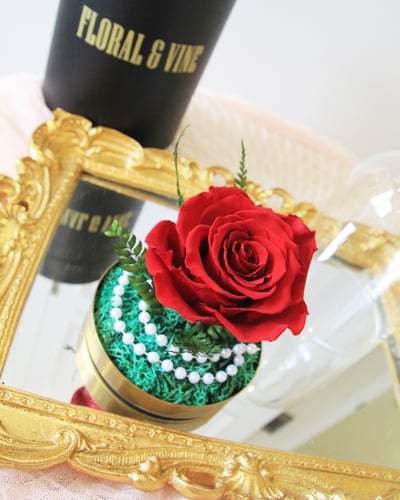 Princess Belle 貝拉公主永恆玫瑰玻璃盅 (時尚紅)3