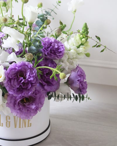 Purple Garden 淡紫花園3