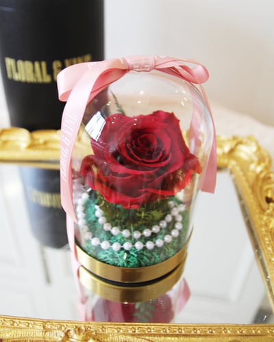 Princess Belle 貝拉公主永恆玫瑰玻璃盅 (時尚紅)4