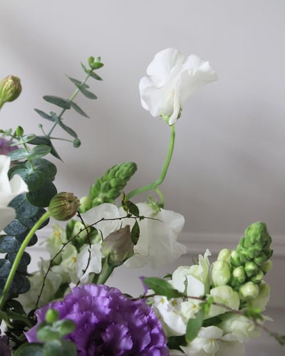 Purple Garden 淡紫花園5