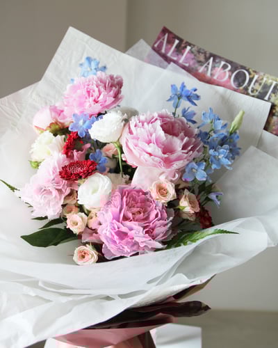 Blush Symphony 粉紅交響樂4