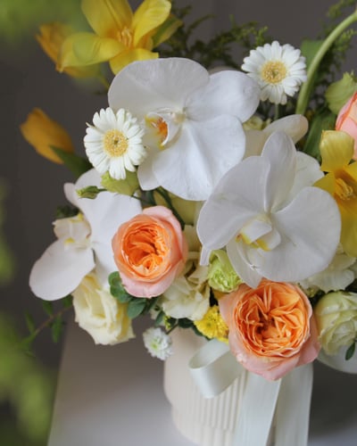 Butterfly Waltz 錦繡蝶舞3