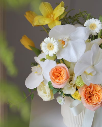 Butterfly Waltz 錦繡蝶舞4